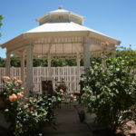 DSC00220
